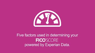 What Five Factors Determine My FICO® Score  Experian Credit 101 Express [upl. by Diane]