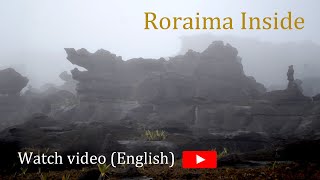 RORAIMA INSIDE  A trip to the oldest and most mysterious Mountain in the world [upl. by Eckart]