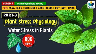 WATERDROUGHT STRESS IN PLANTS  PLANT STRESS PHYSIOLOGY PART3  CSIR NET [upl. by Vite28]