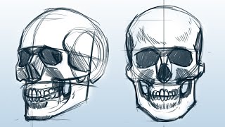 Tudo sobre CRÂNIOS  TUTORIAL de Desenho [upl. by Oflodor]