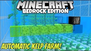 Minecraft Bedrock Efficient AFK Kelp Farm Tutorial No Bonemeal MCPE Xbox PC [upl. by Mei232]