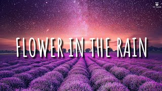 Flower In The Rain  Jaci Velasquez Lyrics Video [upl. by Ecirtak937]