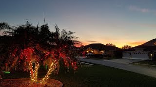 Christmas Lights on Robellini Palms  LED SpotLights [upl. by Leda]