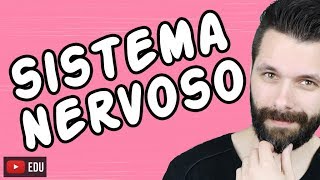 SISTEMA NERVOSO  FISIOLOGIA  Aula  Biologia com Samuel Cunha [upl. by Gerkman4]