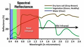 Spectral Reflectance Curves What is Remote Sensing [upl. by Beitz353]