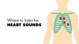 Where to listen for Heart Sounds Auscultory Areas  MEDZCOOL [upl. by Bauske]