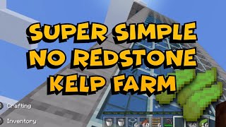 Super Simple Kelp Farm  No Redstone  Minecraft Bedrock [upl. by Anitsirhc]