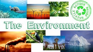 The Environment  Learn English [upl. by Ethbun]