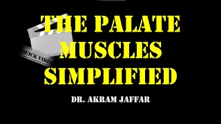 Palatine muscles simplified diagram [upl. by Koffler]