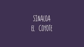 Sinaloa  El Coyote Audio [upl. by Aeresed]