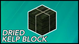 How To Get Dried Kelp Block In Minecraft [upl. by Ecirtahs903]