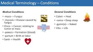 Medical Terminology  The Basics  Lesson 4 [upl. by Yntirb]