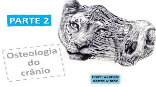 OSTEOLOGIA DO CRÂNIO  parte 2 anatomia veterinária [upl. by Valentia]