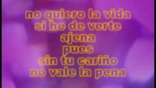 amor gitano karaoke [upl. by Cindie662]