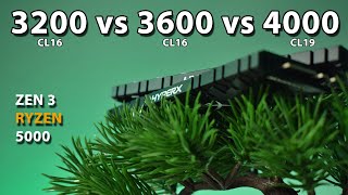 3200 vs 3600 vs 4000MHz RAM Ryzen 5 5600X Zen 3 Ryzen 5000 [upl. by Asik]