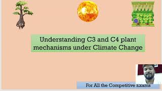 C3 and C4 plants and mechanisms [upl. by Ila365]