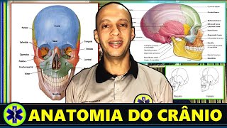 Aprenda a Anatomia do Crânio [upl. by Kimura]