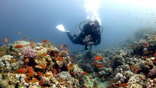 Scuba Diving Red Sea  Dive Sites of Dahab Egypt 2015 [upl. by Shere101]