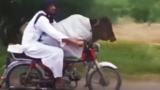 IDIOTS ON BIKES CAUGHT ON CAMERA [upl. by Kcirtapnaes]