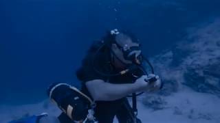 Diving accident at the Blue Hole of Dahab with Tarek Omar [upl. by Nived756]