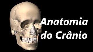 Anatomia do Crânio em 3D [upl. by Stalker]