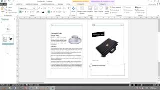 Como hacer un diptico con Publisher 2013 [upl. by Nytsirk]