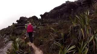 Walking Across the Top of Mount Roraima Venezuela [upl. by Aenad]