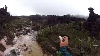 Mount Roraima  Valley of the Crystals [upl. by Ilrebmik]