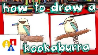 How To Draw A Kookaburra [upl. by Weibel577]