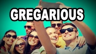 Learn English Words GREGARIOUS  Meaning Vocabulary with Pictures and Examples [upl. by Pul520]