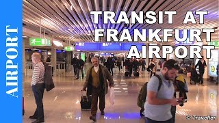 TRANSIT WALK AT FRANKFURT Airport FRA Terminal 1  Connection Flight Transfer Arriving amp Departing [upl. by Rhody]