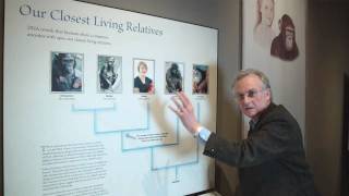 Richard Dawkins Why are there still Chimpanzees  Nebraska Vignettes 2 [upl. by Anabella189]