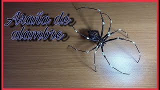 Araña de alambre [upl. by Adnaloy]