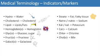 Medical terms  common prefixes [upl. by Ezzo705]