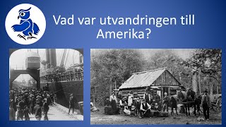 Vad var utvandringen till Amerika Sveriges historia [upl. by Kcirrej]